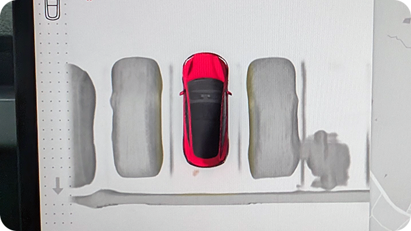 Tesla Vision Park Assist Visualization